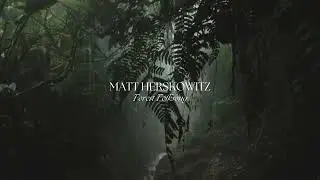 Matt Herskowitz - Forest Folksong (Official Audio)