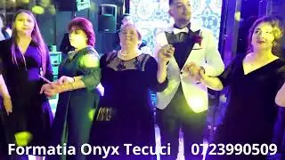 Formatia Onyx Tecuci, nunta Iasi, muzica 2026