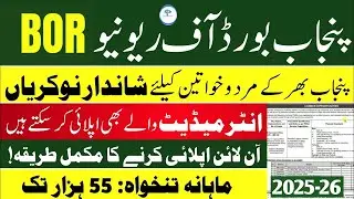 Board of Revenue Jobs 2025 | How to Apply Online for BOR Jobs 2025 | Latest Govt Jobs 2025