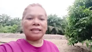 Hari ini kita Kembali ikut bertukang dengan Kila.