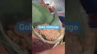 Gari and Beans (Gob3 )Mu pro Max