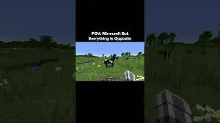 Minecraft Opposite Moment
