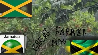 Jamaican best rain 🌧 video watch only when you want to get a good sleep 😴 