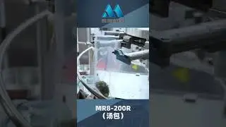 Mixed Food Pickles with Liquid Rotary Food Pouch Packing Machine
