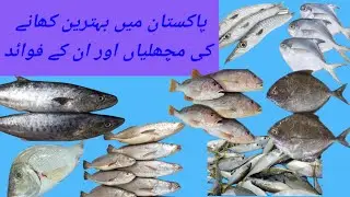 Top 10 eating Fish in Pakistan & world |Khahne ki Behtren fish |Best Healthy fish,types and vitamins