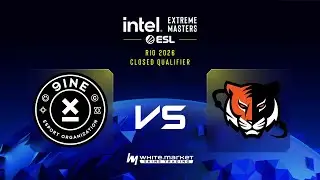 9INE проти Nuclear TigeRES | Карта 1 | IEM Rio 2026:Closed Qualifier