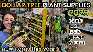 BEST Dollar Tree PLANT FINDS 2025! NEW DOLLAR TREE FINDS! Plant Supplies