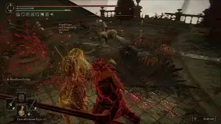 Elden Ring PvP Compilation 22