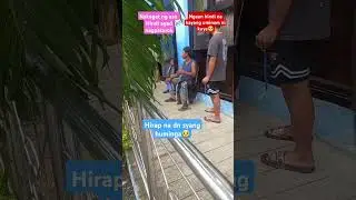 Rabbies infected (huwag ipagbawalang bahala ang kagat ng aso at pusa)