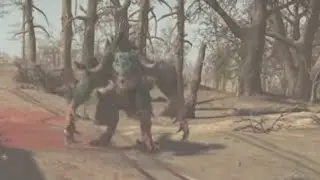 Fallout 76 