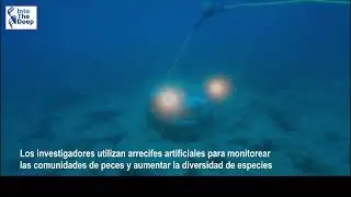 Ecosistemas costeros del noroeste del Mediterr&aacute;neo (catal&aacute;n)