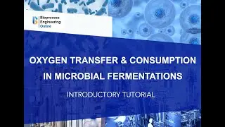Oxygen transfer and consumption in microbial fermentations