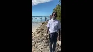 Rocky shore