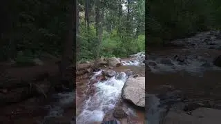 Passive Income isn't real! Is it?? #nature #wealthjourney #hiking #mountains #passiveincome