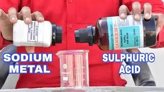 Never Mix these two things ||Sodium Metal Vs Sulphuric Acid || Science Experiment