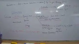 NRL23 - IX ICSE  BIO RSM 05/07/2022
