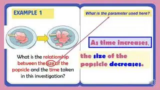 Science Process Skills   Using Space Time Relationship