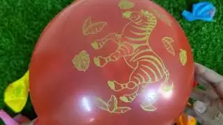 Satisfying Asmr Unboxing Colourful Balloon#poppballons#unitedstates #balloon#canada