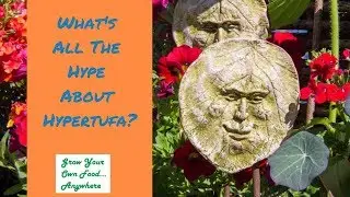What's All the Hype About Hypertufa?