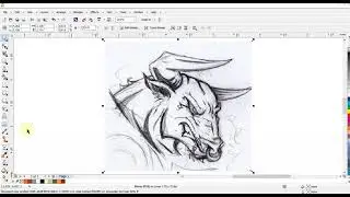 bull mascot Logo Design  CorelDRAW Tutorial - Ahsan Sabri