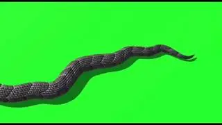 Snake black green screen video free download not copyright claim like subscribe share comment 