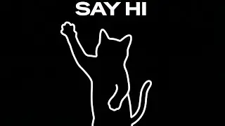 Cat Flow Immersive Interactive Warm Up!