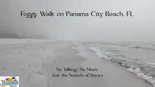 Dense Fog Walk on Panama City Beach | Relaxing Ocean Sounds | No Talking | 4K Ambience