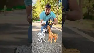 Remote control Giraffe🦒vs RC Horse Testing🔥