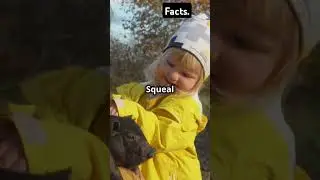 Mind-blowing facts You Didn't Know!2024😯#shorts