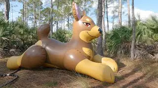 Kara the Doberman Ride-On Pool Toy from Phenod Toys