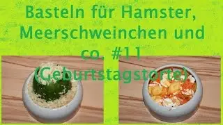 DIY Basteln für Hamster, Meerschweinchen und co #12 Geburtstagstorte