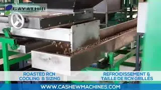 Cashew Nut Sizing Machine Manufacturer | RCN Size Sorting Machine