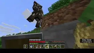 Minecraft Part 4