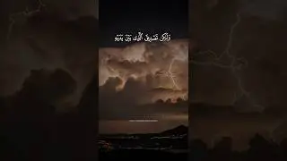 🌸 Deep Relaxation with Beautiful Quran.#shortvideo #viralvideo #viralshorts #shorts #viral #quran