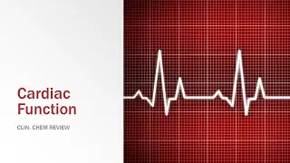 Cardiac Function Review