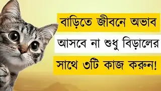 বাড়িতে জীবনে অভাব আসবে না এই ৩ টি কাজ করলে | Islamic Motivation 2026