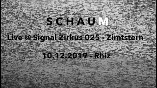 SCHAUM - aka Michael Ramsauer - M&uuml;ller @ Signal Zirkus 025 - Video Synthesis by 