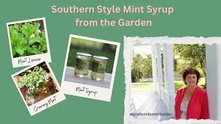 How to Make Mint Syrup with fresh mint leaves from my southern garden for Iced Tea