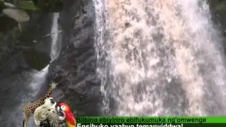 Uganda zaabu: Biibino ebiyiriro ebifukumuka ng'omwenge