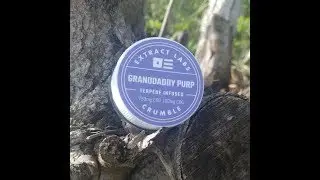 [COUPON CODE] Extract Labs Granddaddy Purp CBD Crumble Review