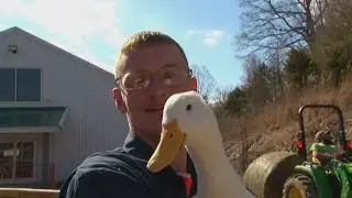 Anderson County inmates learn life skills as zoo volunteers