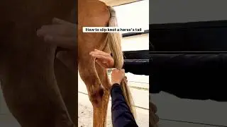 Horse tail slip knot