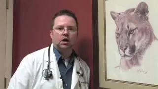 Canine & Feline Diseases : Dog Diseases Caused by Cats