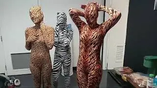 Dec 6 ANIMALS! teaser!