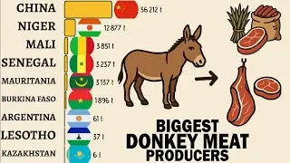 Вы не поверите, кто производит больше всего ослятины!