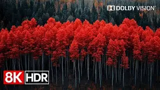 🌍 Colors of Earth in 8K HDR 120fps Dolby Vision &ndash; Ultra Real Nature Experience 🌈✨
