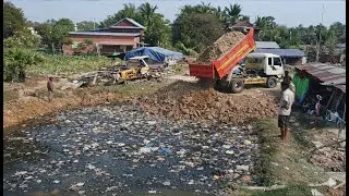Starting Project Delete pond buy dump truck and bulldozer pushing