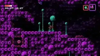 Axiom Verge 100% IMB New World Record in 1:25:38.