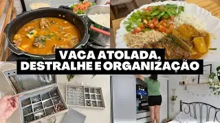 VACA ATOLADA DELICIOSA E FÁCIL, DESTRALHE E ORGANIZANDO MINHAS SEMIJÓIAS