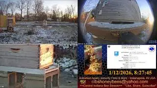 LIVE Back Yard Cam - Weather - Bee Hives - Security Feed - Indianapolis, IN USA